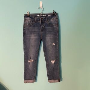 Wallflower sz 9 Capris